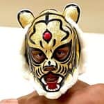タイガーマスクのインスタアカウント画像